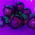 Zestaw Balonów Fluorescencyjnych Neon Kropki 10 szt .jpg